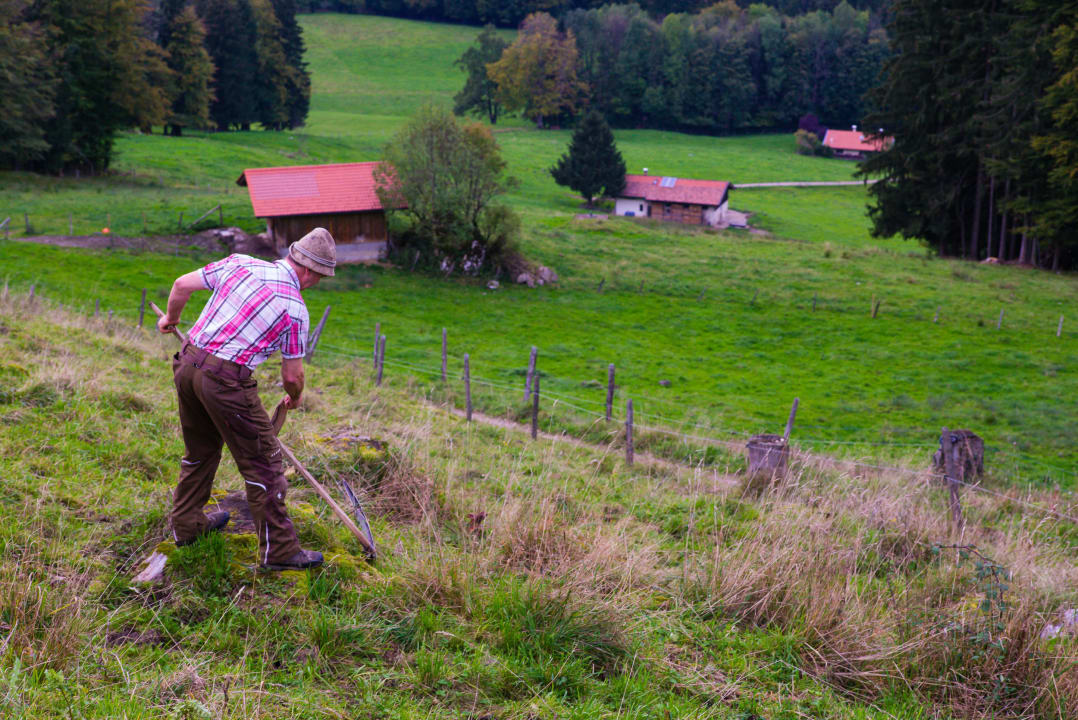 Almpflege ist Handarbeit bei herrlichem Blick Ferienwohnungen Estermannhof