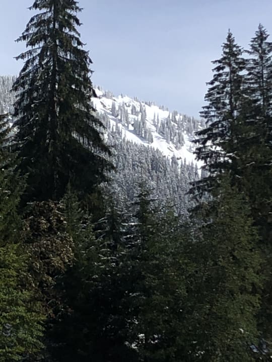 Ausblick Gasthof Schwabenhof
