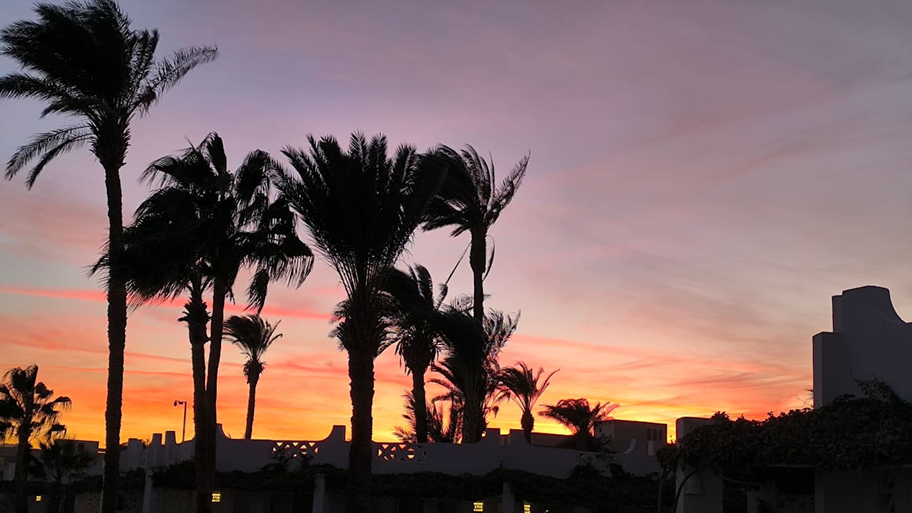 Gartenanlage Shams Safaga Resort