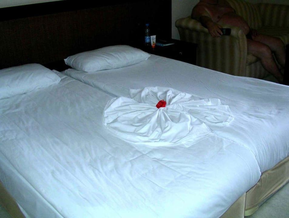 Unser Zimmer Papillon Ayscha