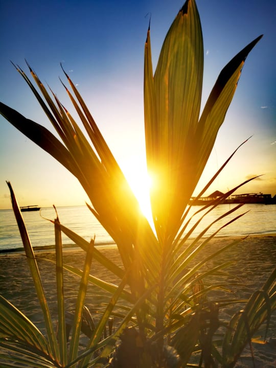 Ausblick Summer Island Maldives
