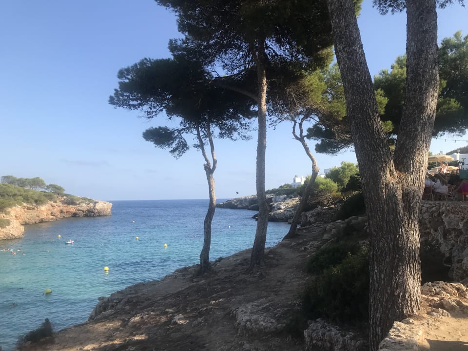Ausblick Inturotel Cala Esmeralda