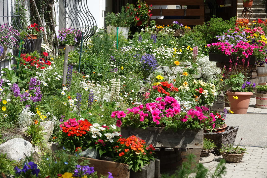 Gartenanlage Hotel Seraina