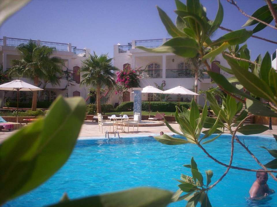 Widok basenu hotelowego Hotel Resta Sharm Resort