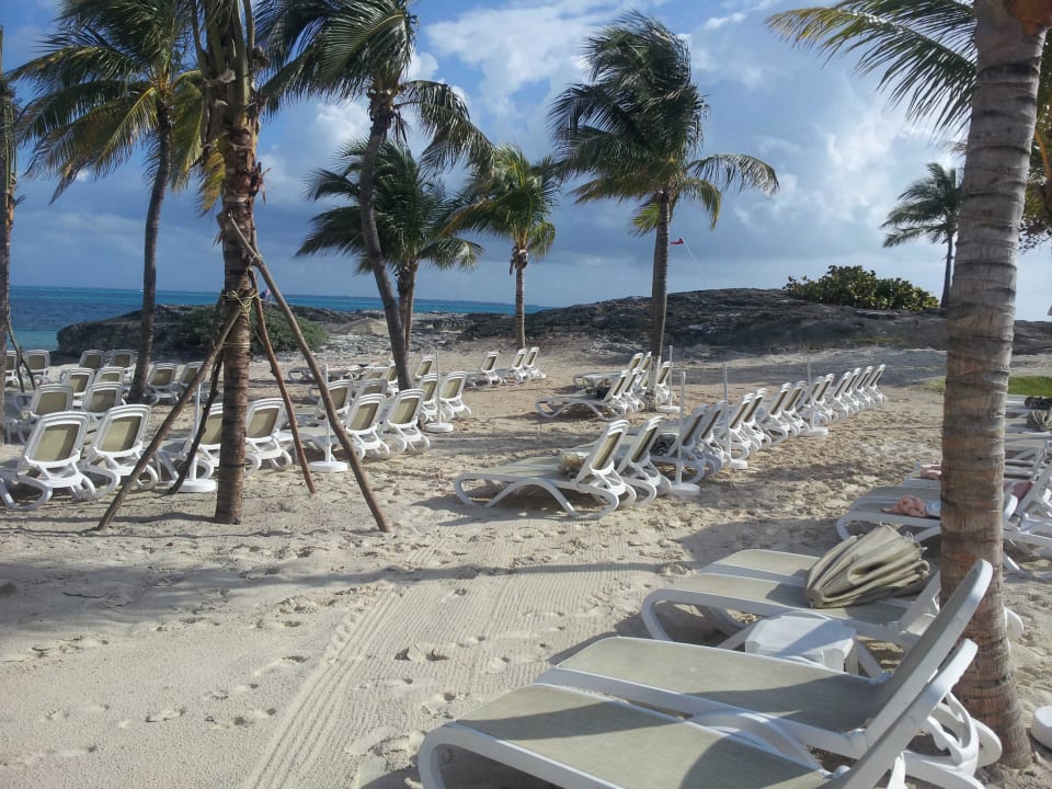 Hotelstrand mit neugeflanzten Palmen Hotel Riu Palace Peninsula