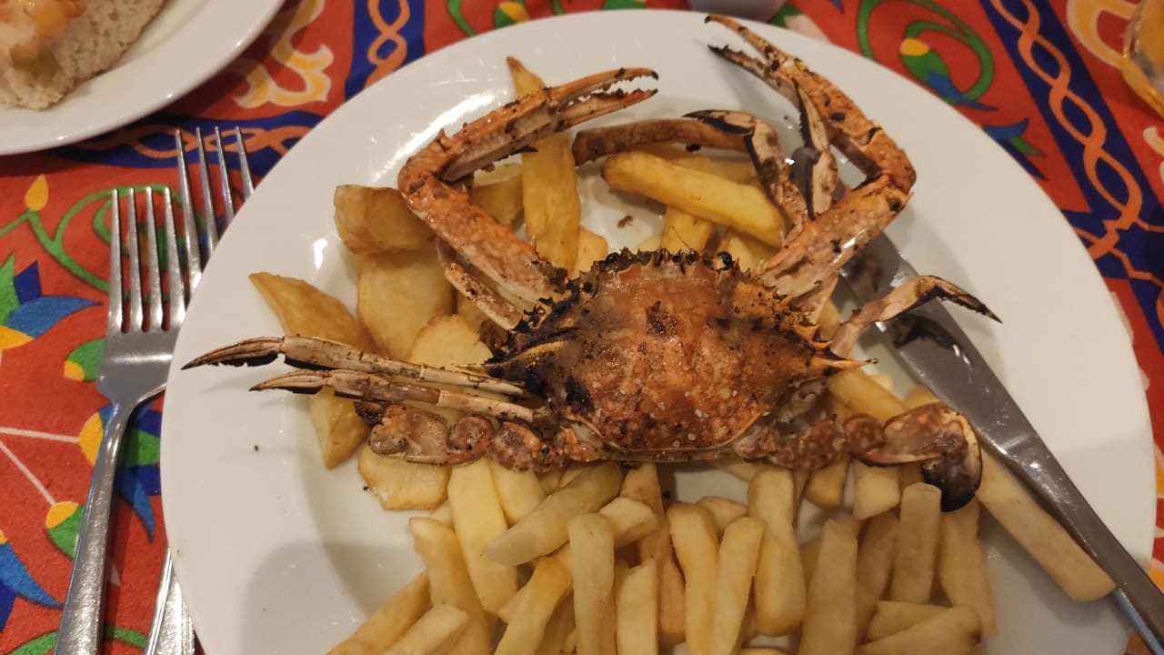 Gastro Sentido Caribbean World Soma Bay