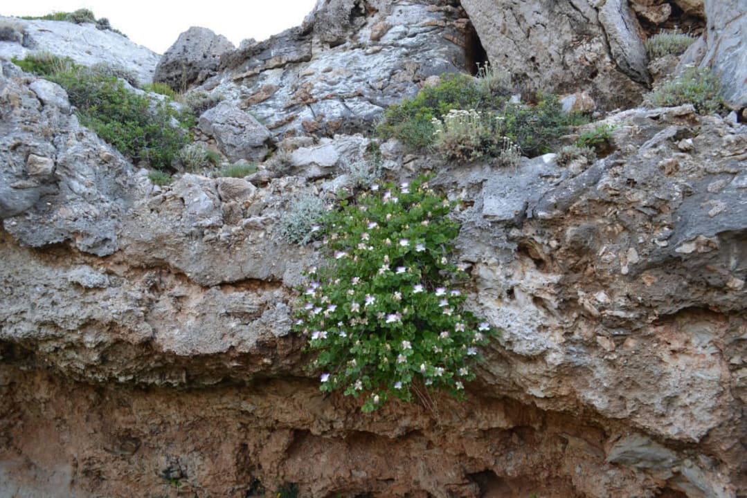 Droga na plaże Hotel Kalithea Horizon Royal