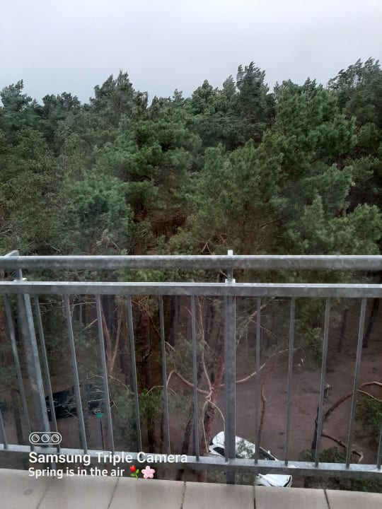 Zimmer Millennium Health Resort & Spa (Heidebrink)