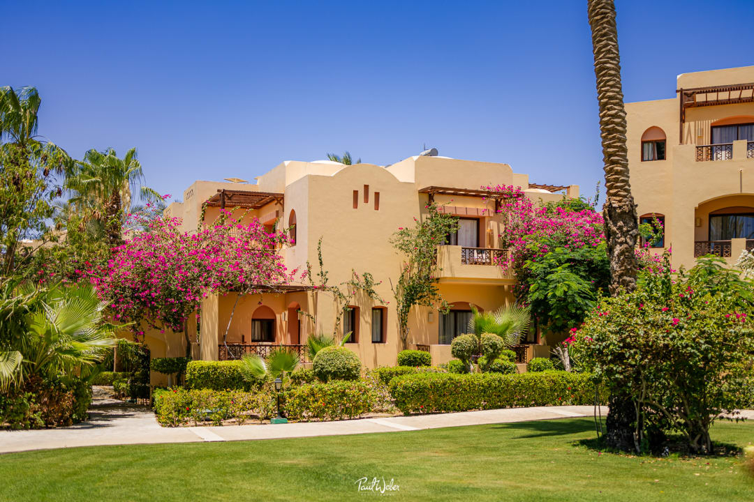 Gartenanlage Steigenberger Coraya Beach - Adults only