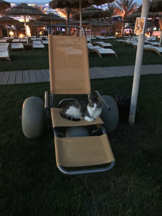 Gartenanlage Maxx Royal Belek Golf Resort