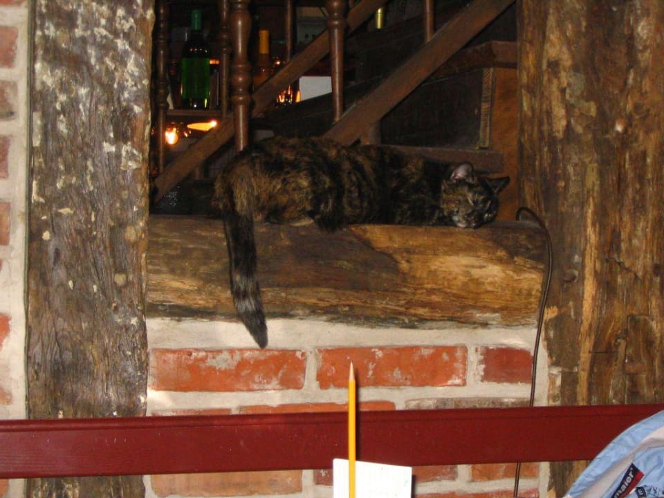 Einblick Land-gut-Hotel Zur Linde