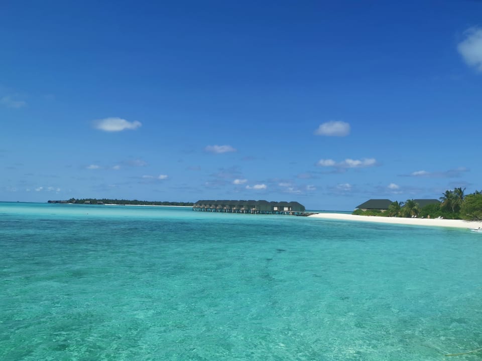 Strand Summer Island Maldives