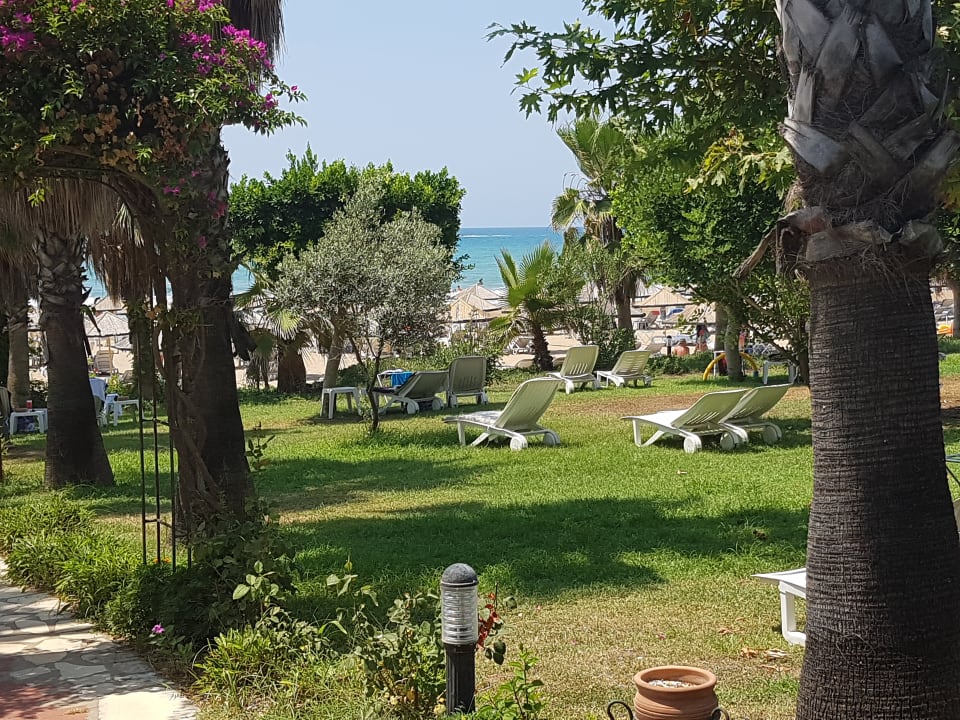 Gartenanlage Hotel Defne Garden