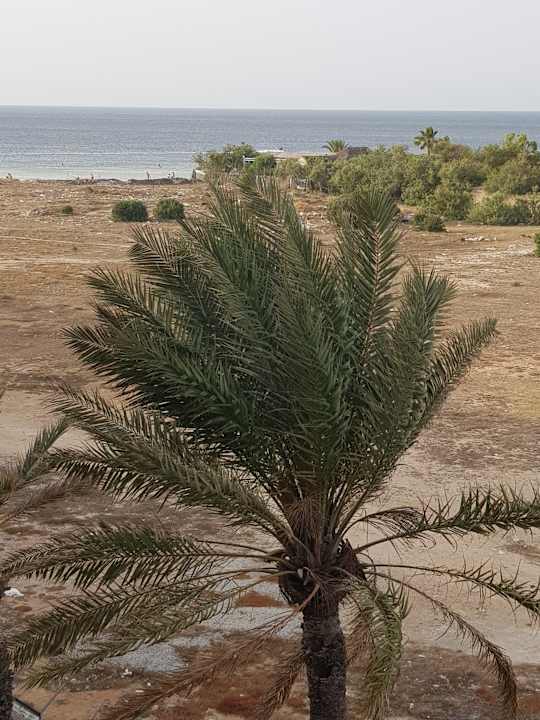 Zimmer Hotel Rosa Beach
