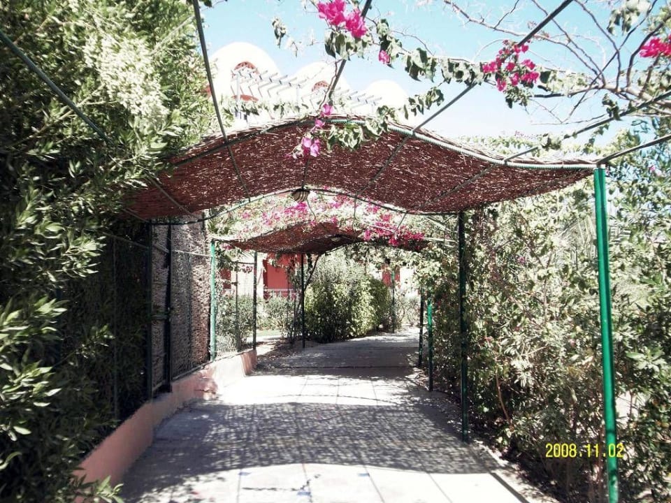 Weg zum Strand Jaz Makadi Oasis Resort