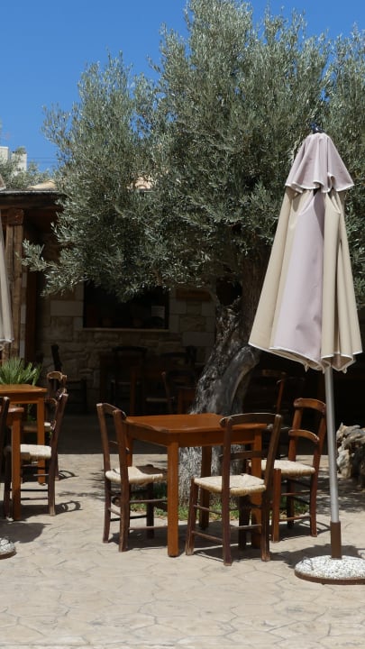 Restaurant Cactus Royal