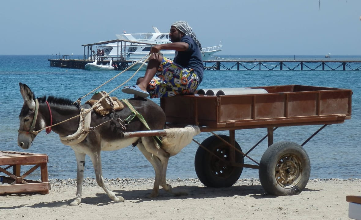 Transport der Pressluftflachen Three Corners Equinox Beach Resort