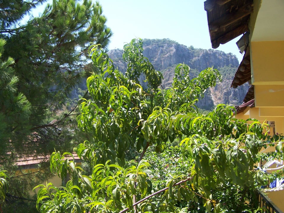 Blick vom Balkon Hotel Patio
