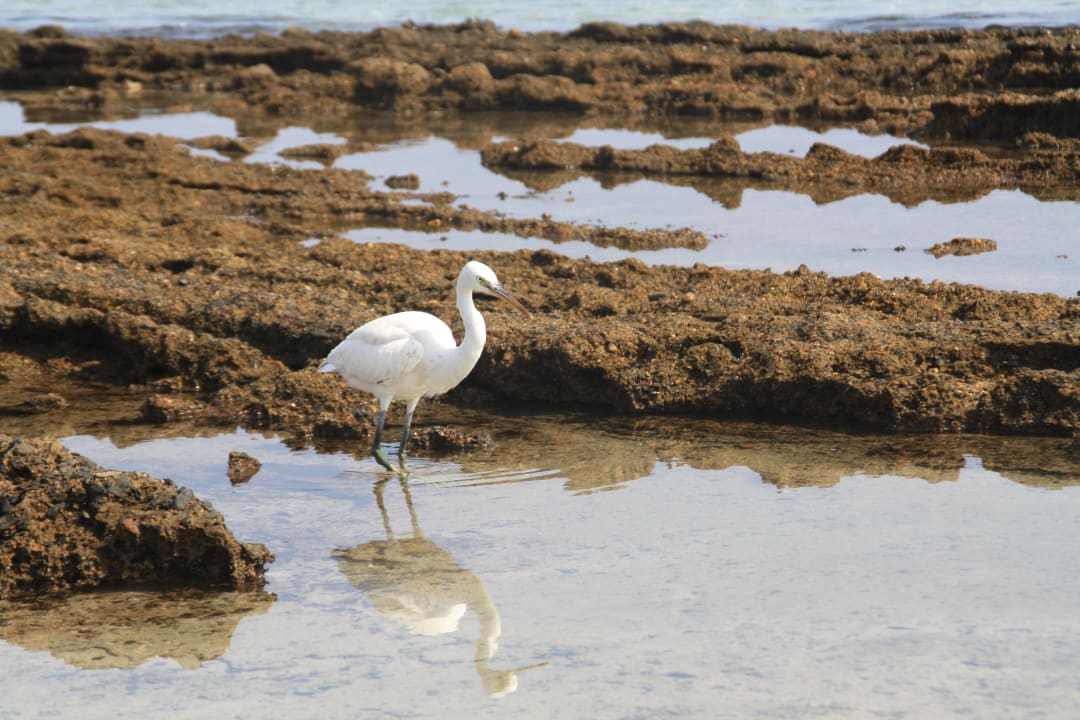 Sonstiges Dream Lagoon Resort & Aqua Park