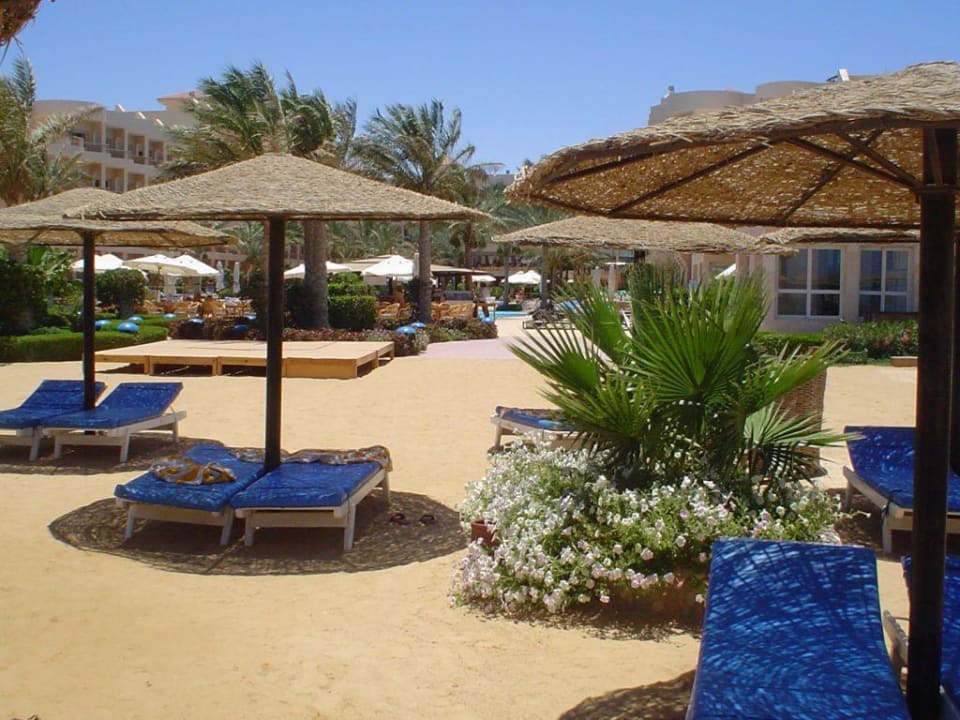 Strand mit Liegen und Bepflanzung Sea Star Beau Rivage