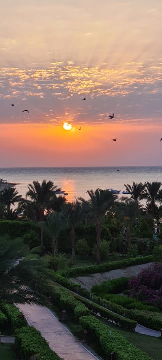 Ausblick Fort Arabesque Resort, Spa & Villas