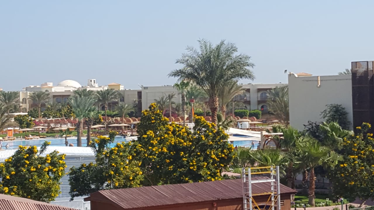 Außenansicht Desert Rose