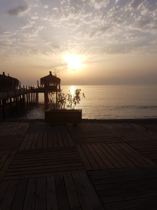 Strand Crystal Flora Pearl Collection