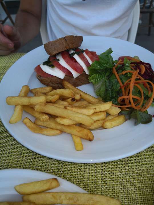 Gastro Acanthus Cennet Barut Collection