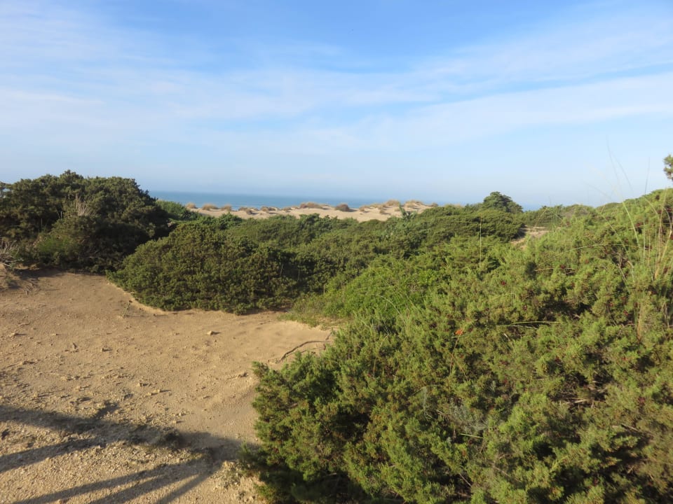 Weg zum Strand Valentin Sancti Petri
