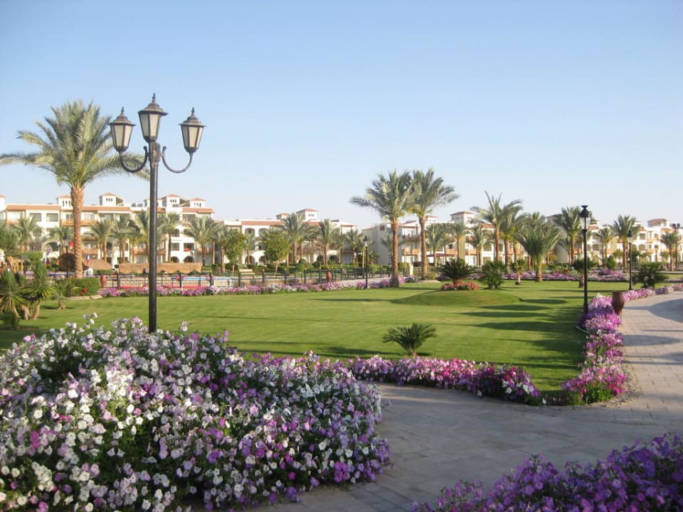 Garten Pickalbatros Dana Beach Resort - Hurghada