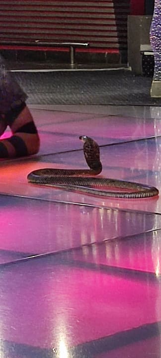 Sport & Freizeit Stella Beach Resort & Spa Makadi Bay