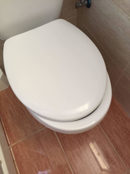 Klodeckel zu klein Hotel Memphis Beach