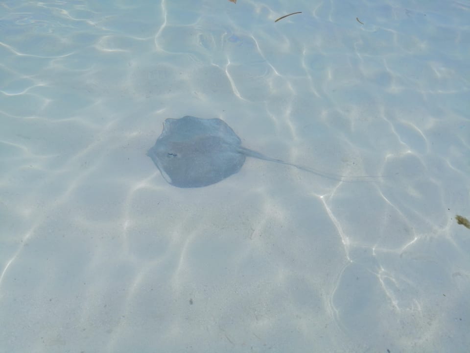 Strand Thulhagiri Island Resort
