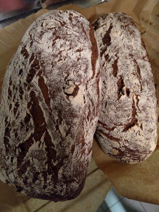 Gastro Kavaliershaus Suitehotel am Finckener See