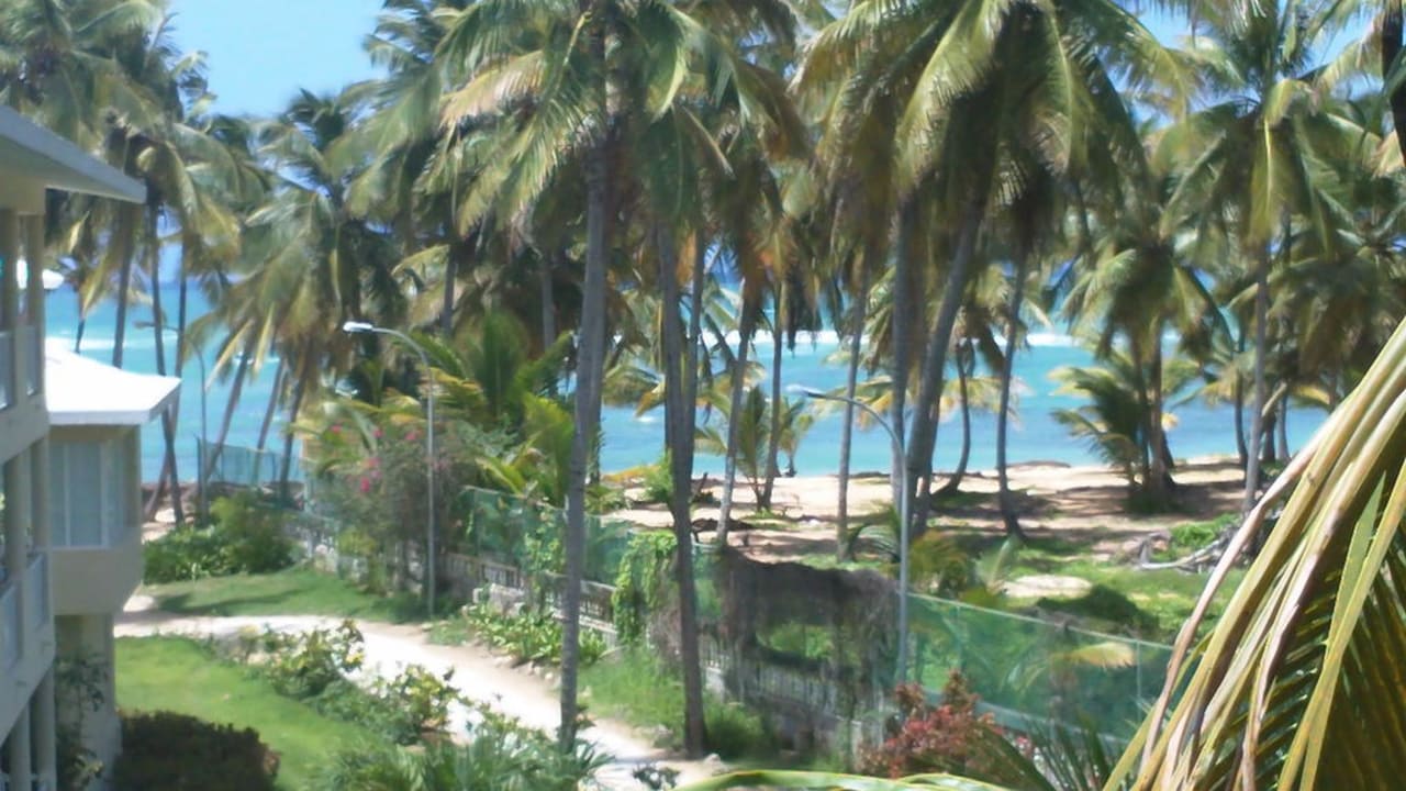 Sirenis Hotel Cocotal Beach Resort Casino & Spa Grand Sirenis Punta Cana Resort & Aquagames