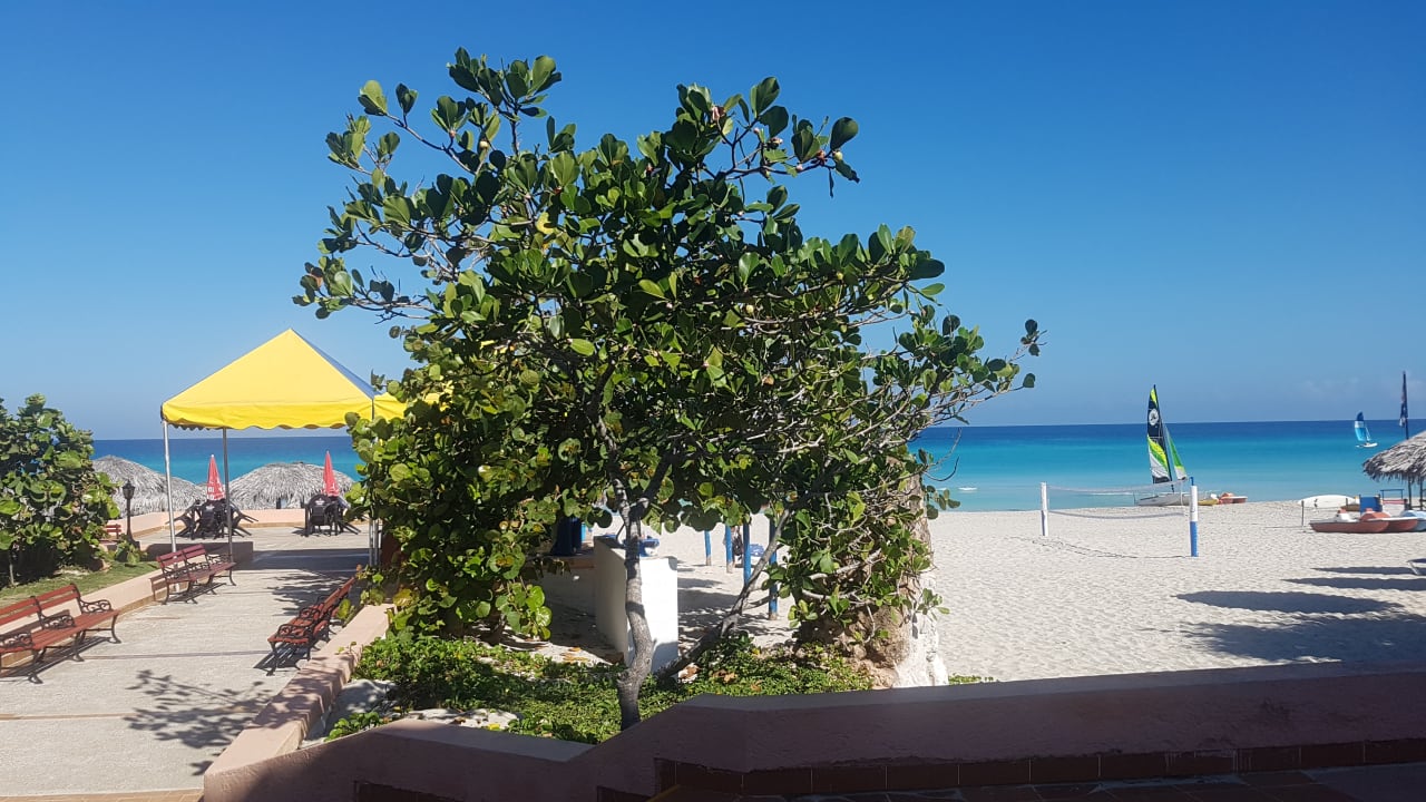 Strand Starfish Cuatro Palmas
