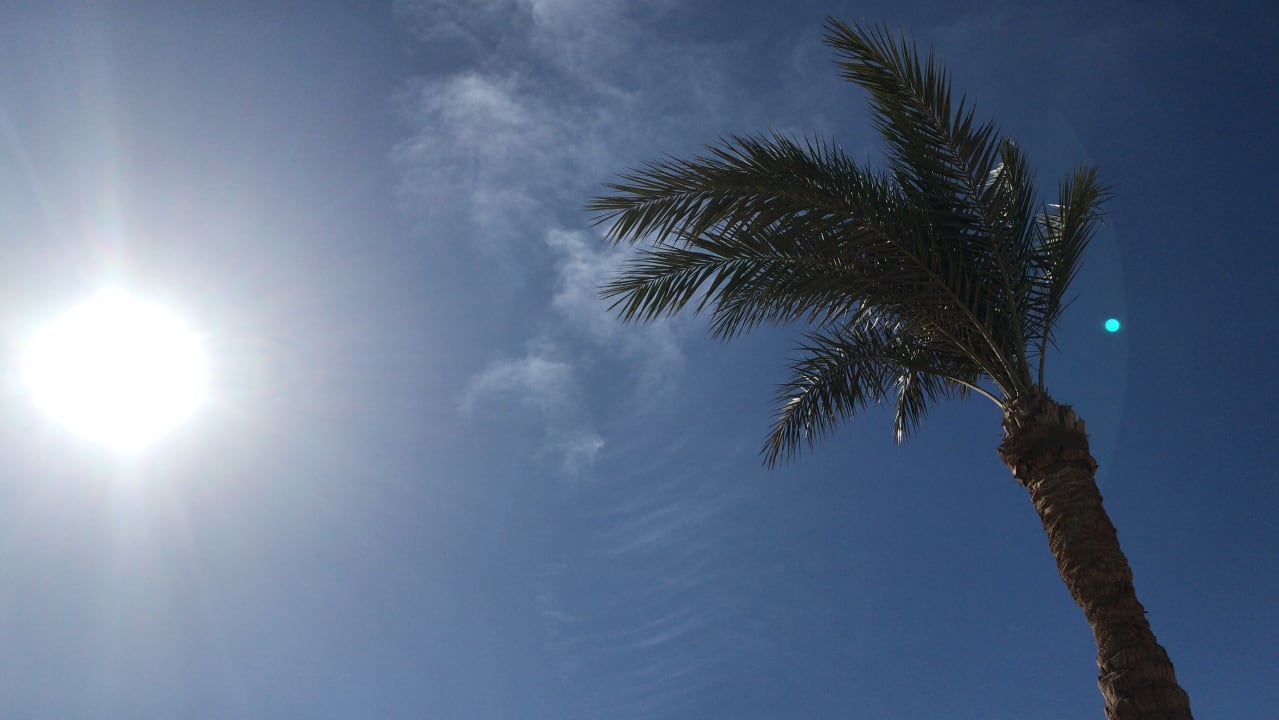 Strand Steigenberger ALDAU Beach Hotel
