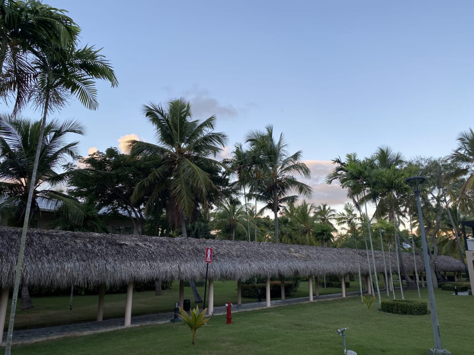 Gartenanlage Grand Palladium Punta Cana Resort & Spa