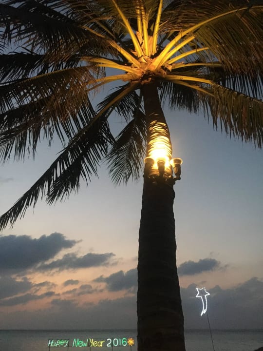 Blick von der Strandbar abends Summer Island Maldives