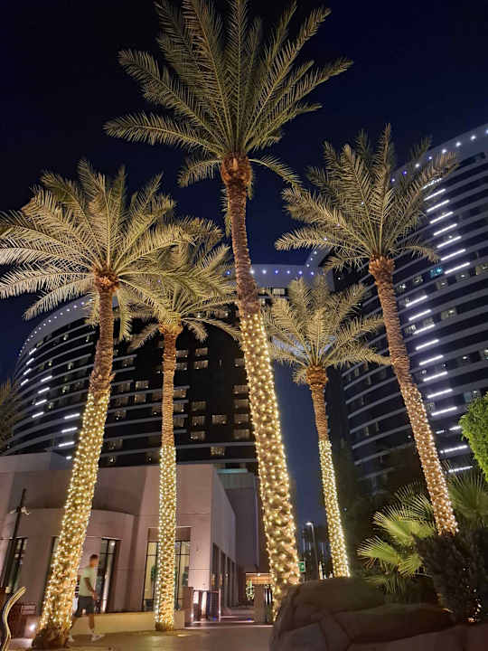 Gartenanlage Grand Hyatt Dubai