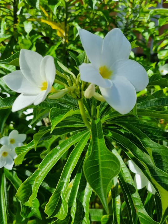 Sonstiges Bahia Principe Grand Aquamarine