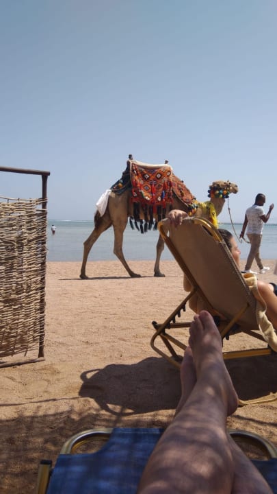 Strand JAZ Mirabel Beach