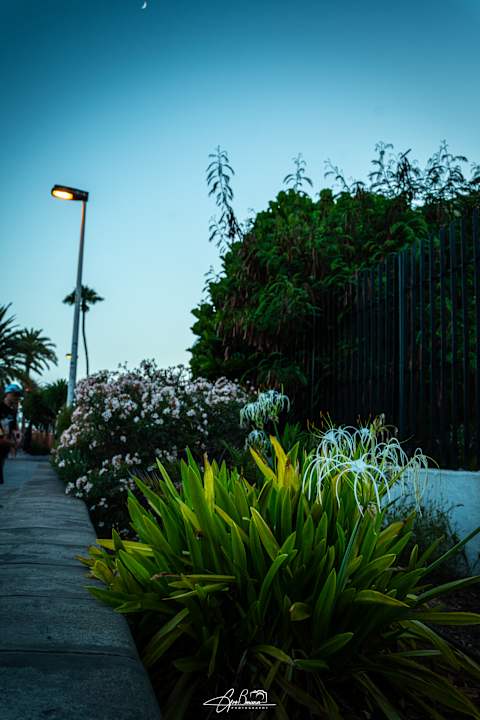 Sport & Freizeit allsun Hotel Esplendido