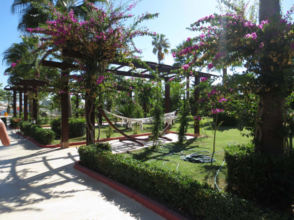 Traumhaft Saphir Resort & Spa