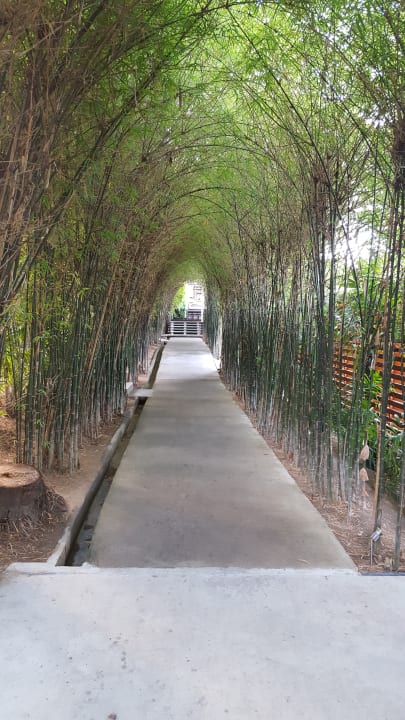 Gartenanlage SAii Koh Samui Villas (adult only 12+)