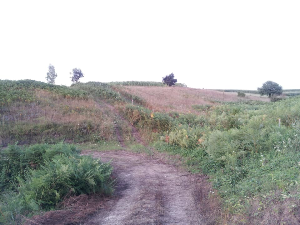 Felder hinter dem Hotel SEDRA Holiday Resort-Adults Only