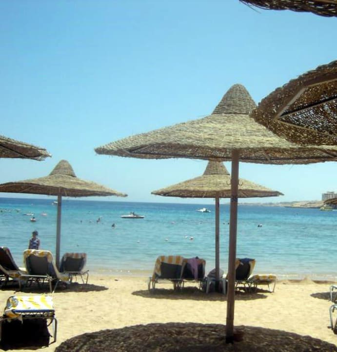 Hotel beach Gafy Resort