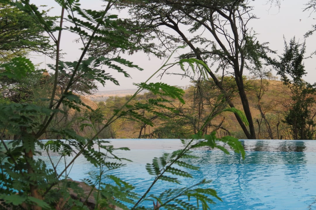 Pool Serengeti Serena Safari Lodge