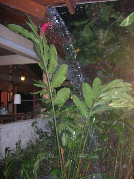 'Kleiner' Regenschauer Grand Palladium Select Bávaro Resort & Spa