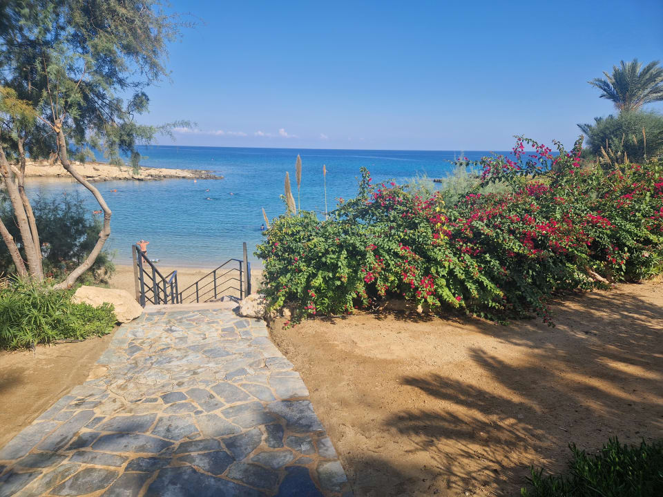 Gartenanlage Crystal Springs Beach Hotel